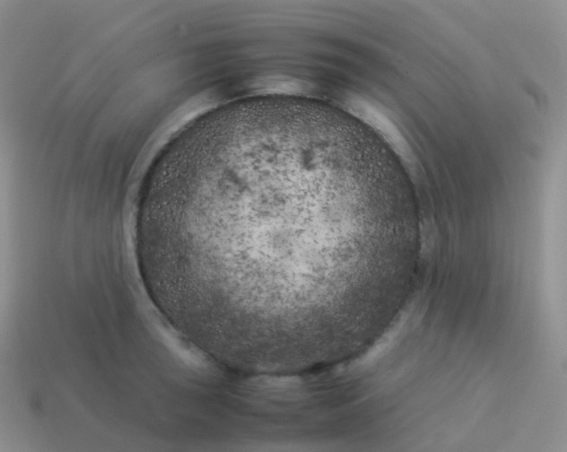 X0000113891043200910081804