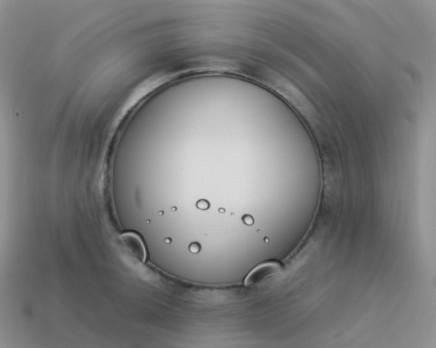 X0000113891044200910081804