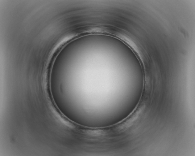 X0000113891045200910081804