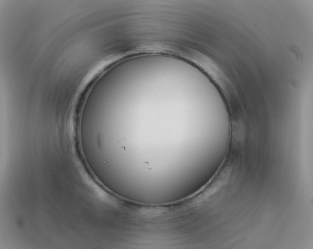 X0000113891046200910081804