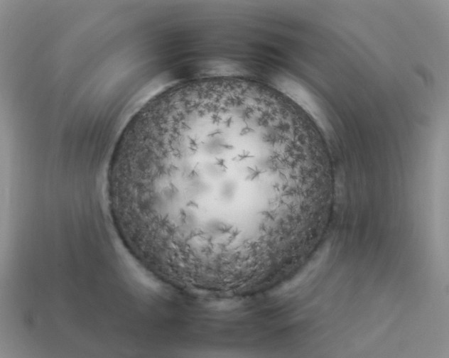 X0000113891047200910081804