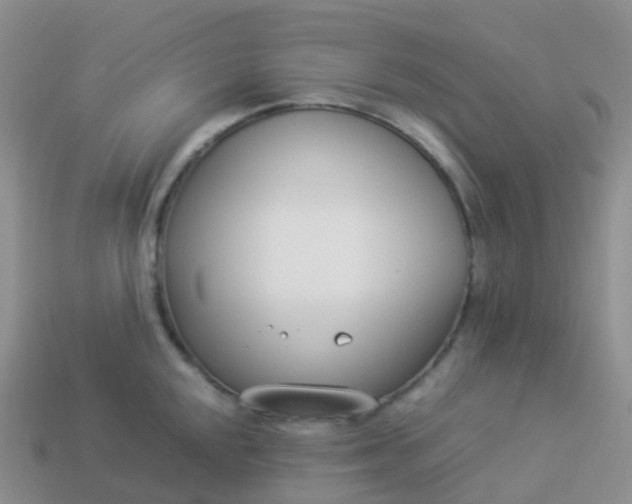 X0000113891048200910081804