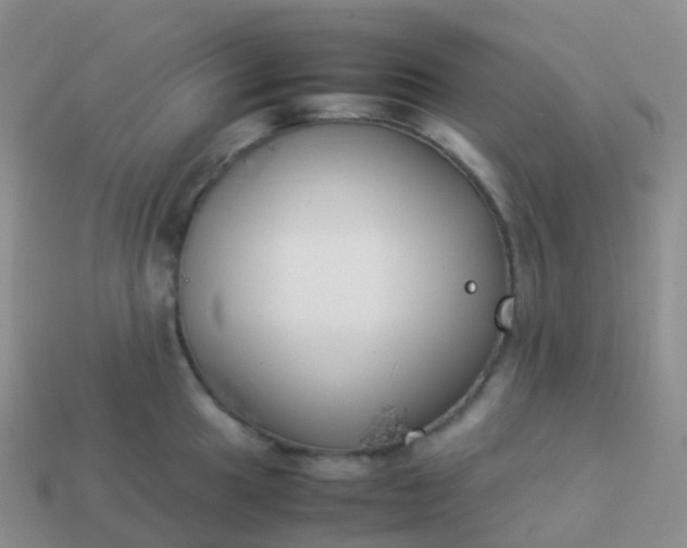 X0000113891049200910081804