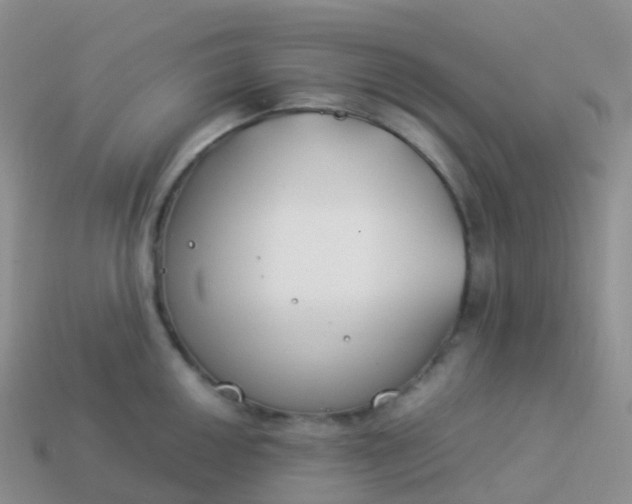 X0000113891050200910081804