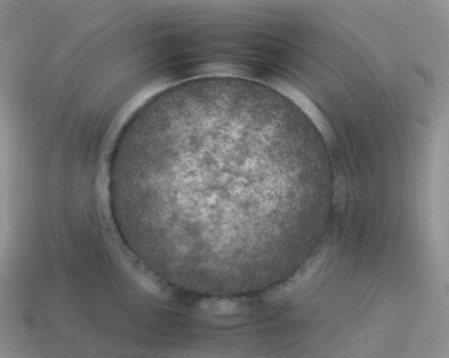 X0000113891051200910081804