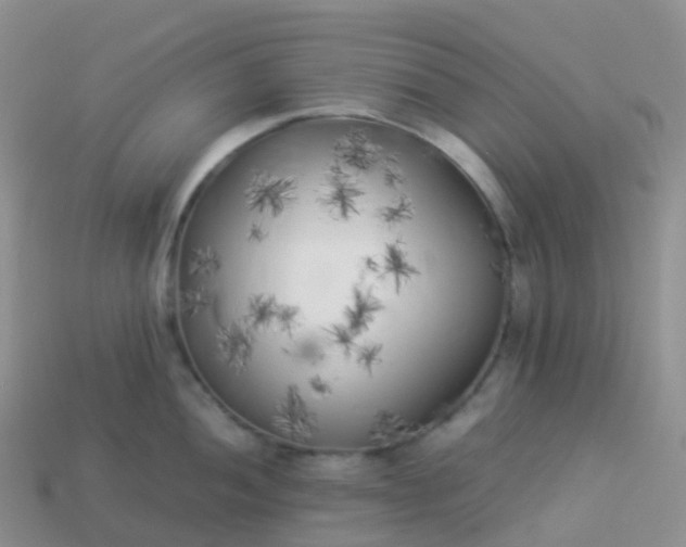 X0000113891052200910081804