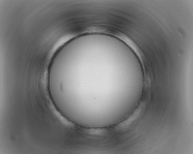 X0000113891053200910081804