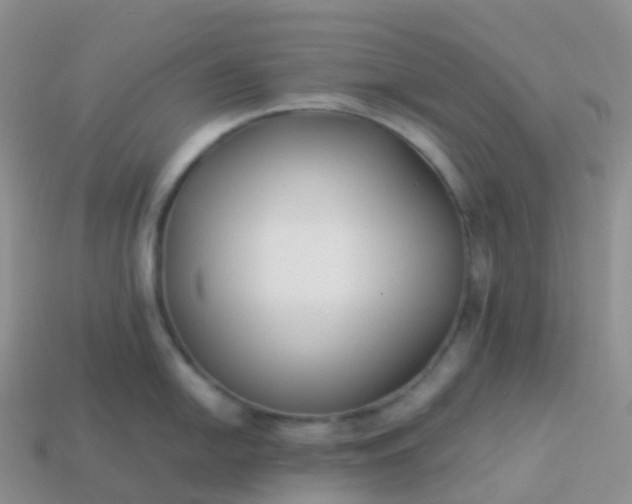 X0000113891054200910081804