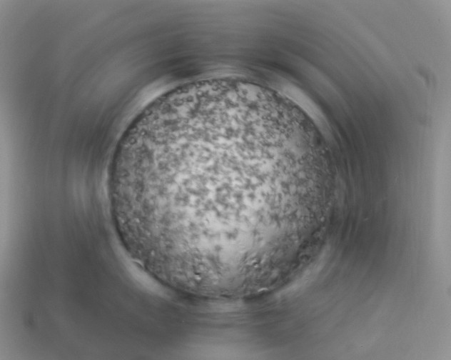 X0000113891055200910081804