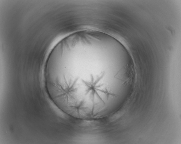 X0000113891056200910081804