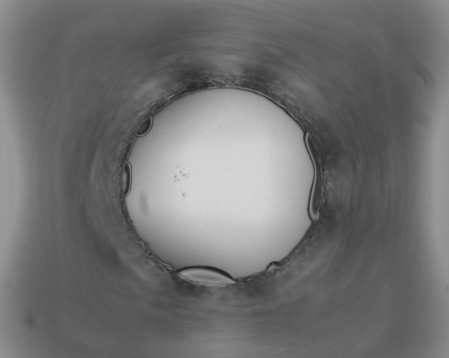 X0000113891057200910081803