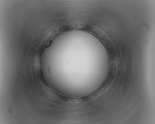 X0000113891058200910081803