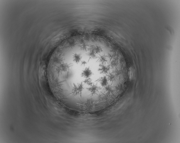 X0000113891059200910081803