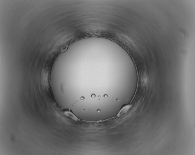 X0000113891060200910081803