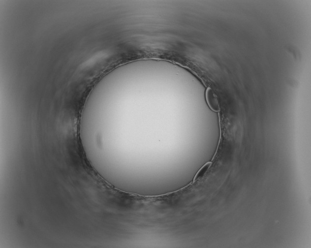 X0000113891061200910081803