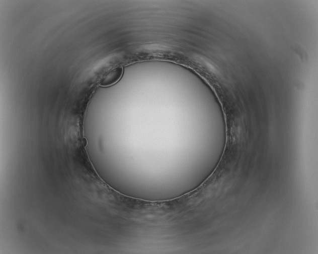 X0000113891062200910081803