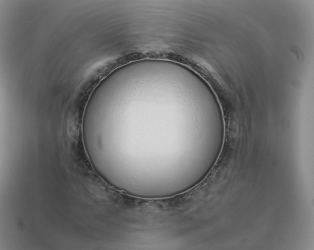 X0000113891063200910081803