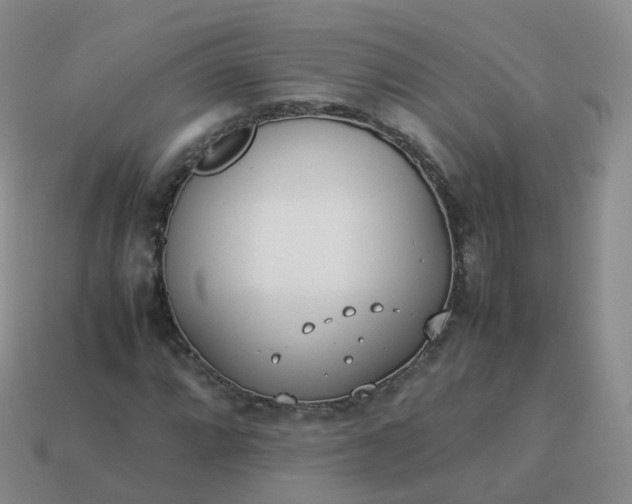 X0000113891064200910081803