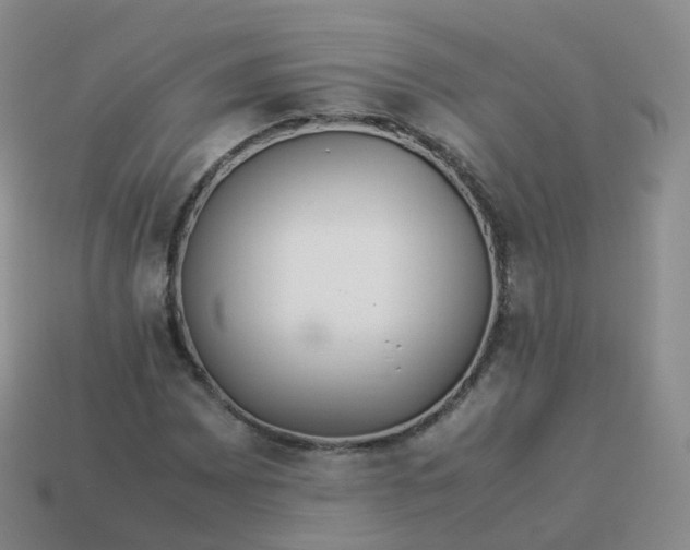 X0000113891065200910081803