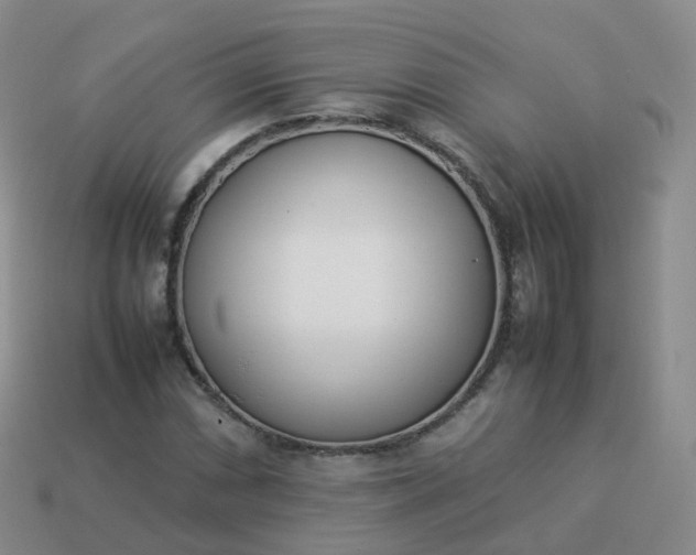 X0000113891066200910081803