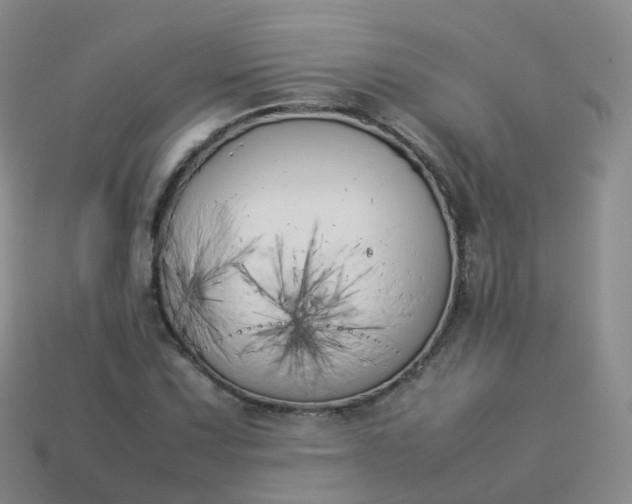 X0000113891067200910081803