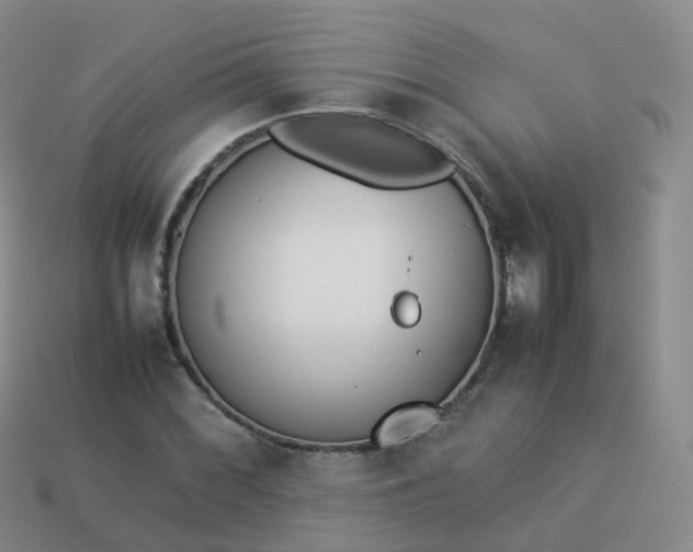 X0000113891068200910081803