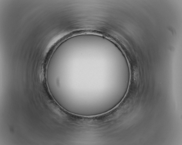 X0000113891069200910081803