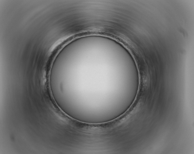 X0000113891070200910081803