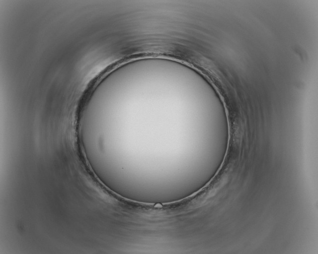 X0000113891071200910081803