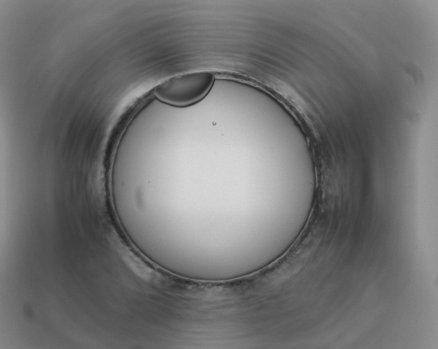 X0000113891072200910081803