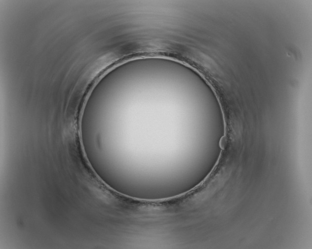 X0000113891073200910081803