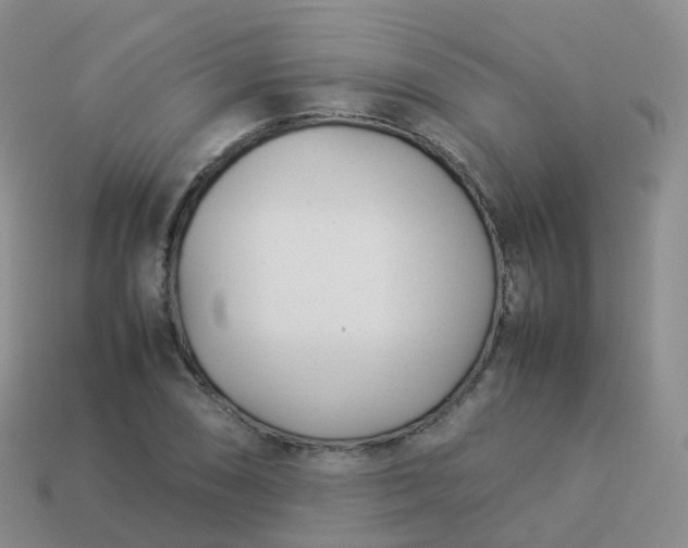 X0000113891074200910081803