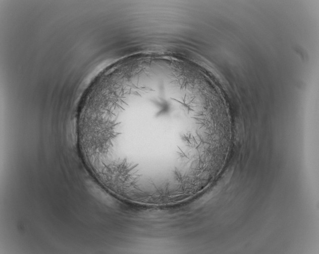 X0000113891075200910081803