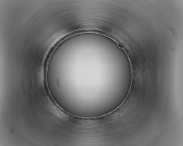 X0000113891076200910081803