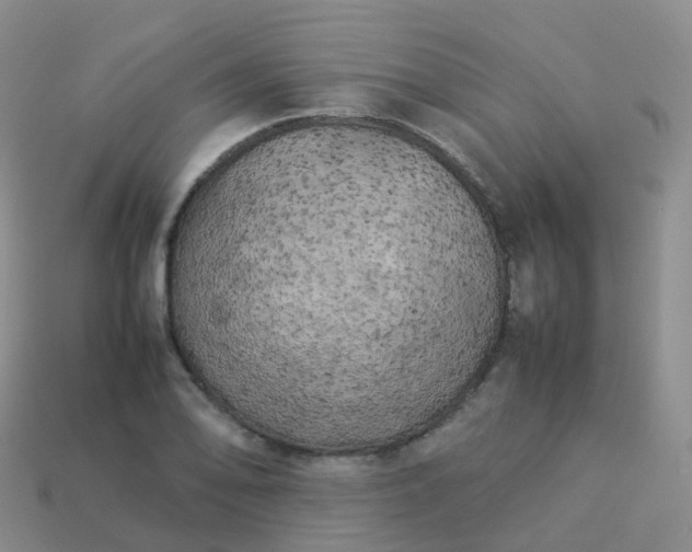 X0000113891078200910081803