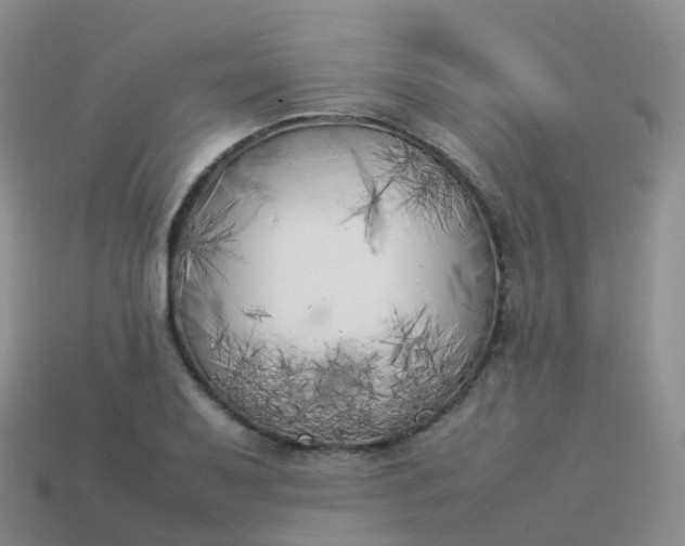 X0000113891079200910081803