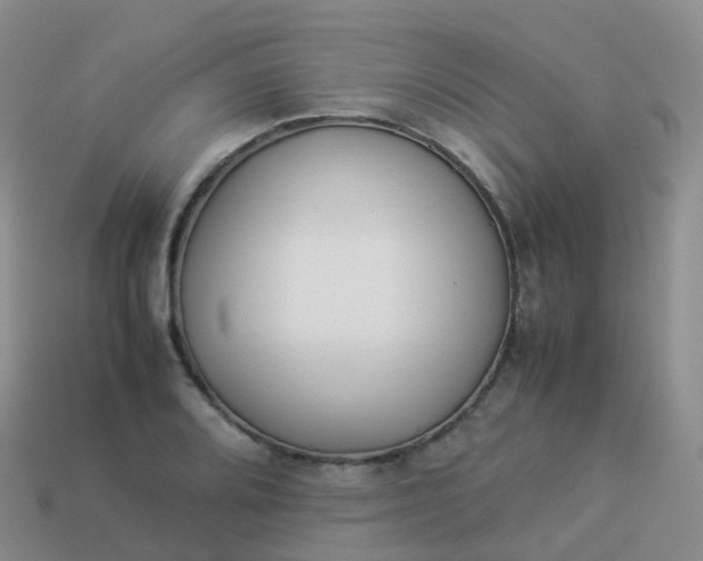 X0000113891080200910081803