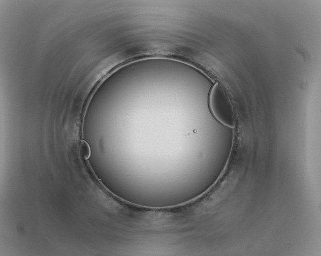 X0000113891081200910081803