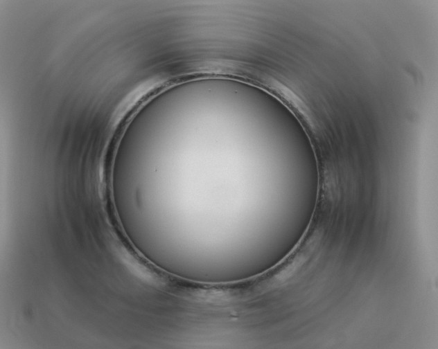 X0000113891082200910081803