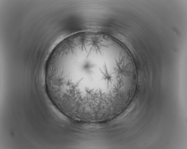 X0000113891083200910081803