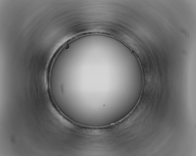 X0000113891084200910081803