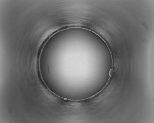 X0000113891085200910081803