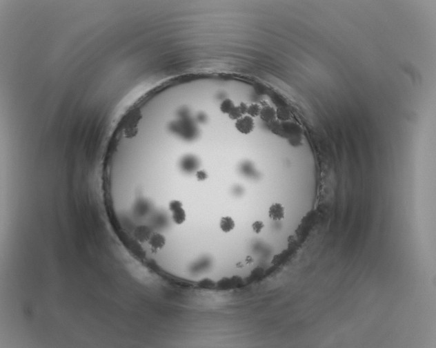 X0000113891086200910081803