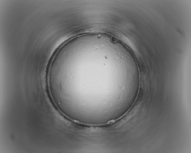 X0000113891087200910081803