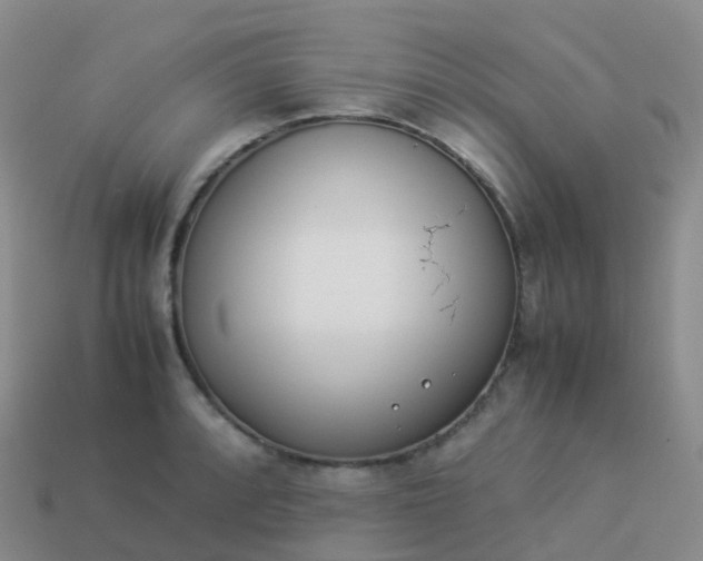 X0000113891088200910081803