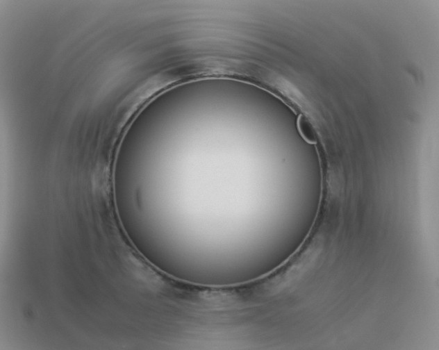 X0000113891089200910081803