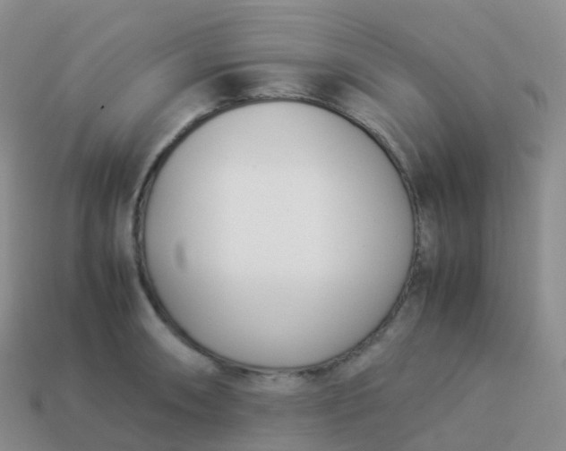 X0000113891090200910081803