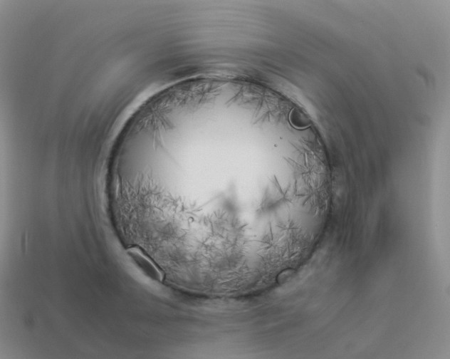 X0000113891091200910081803