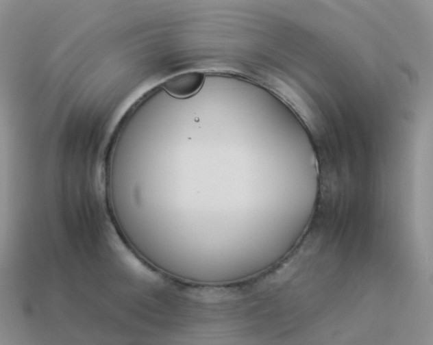 X0000113891092200910081803