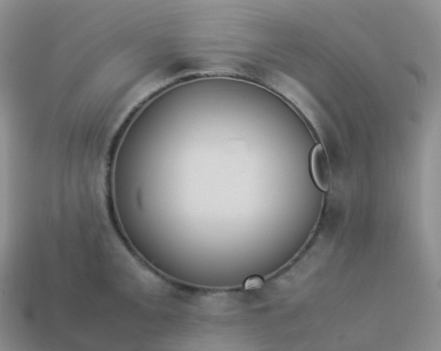 X0000113891093200910081803